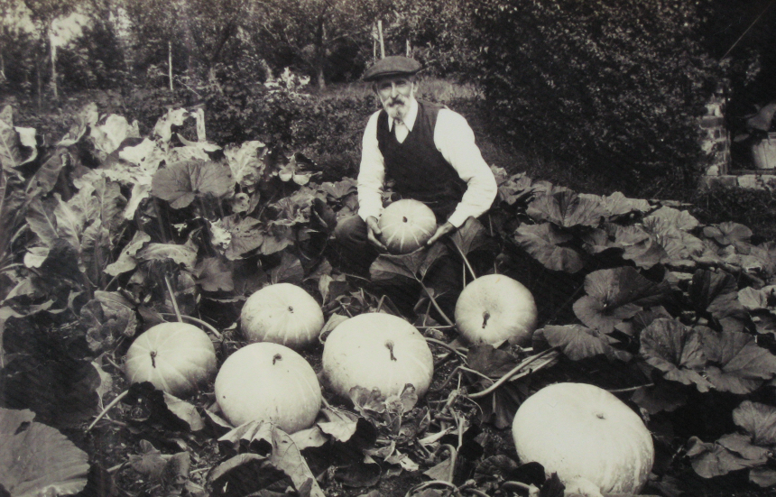 Man with pumpkins growing