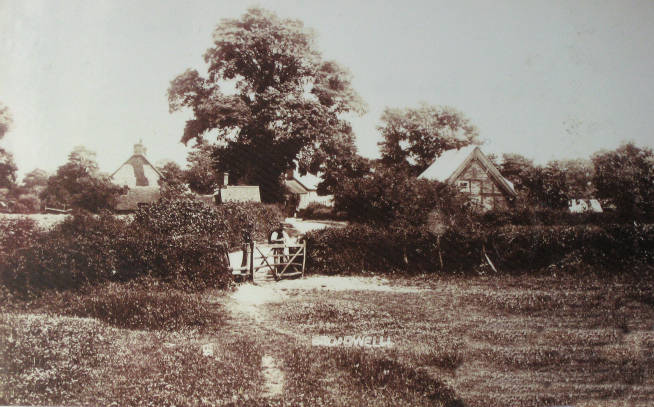 Gate onto green from Main Street