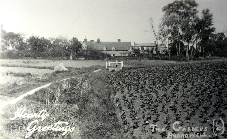 The Gardens